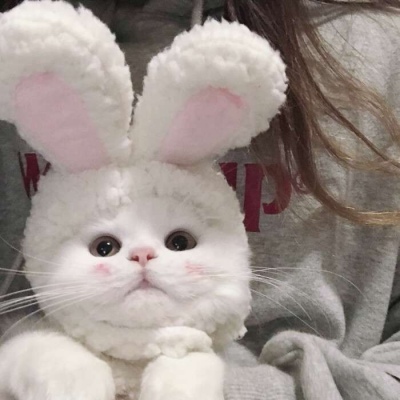 前女友神似朴信惠